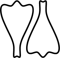 Fogo Island Chronicle